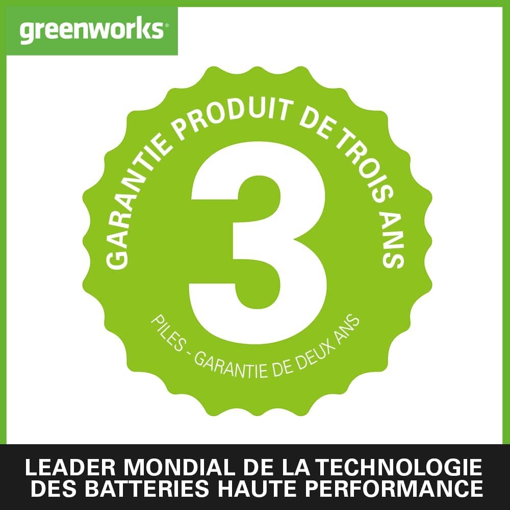 Greenworks G40LM41K2 Tondeuse à Gazon